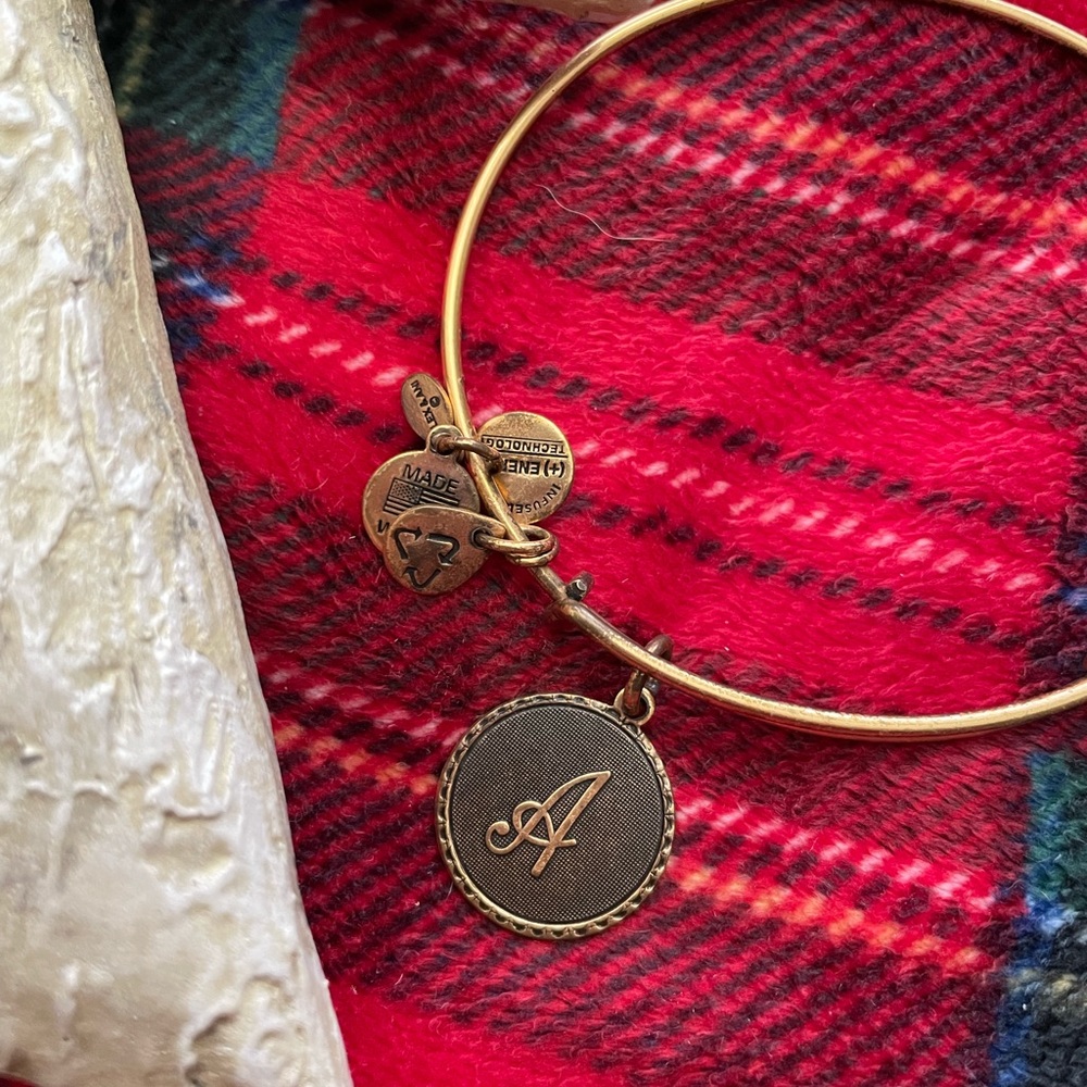 ✨2 for $30✨ Alex and Ani Charm Bangle